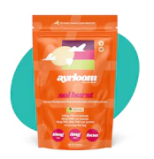 Sol Burst | 10pk