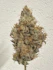 Product Preview Image 1