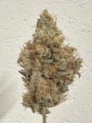 Sour Candylope 3.5 Gram Jar By Alt Sol