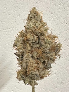 ALTERNATIVE SOLUTIONS - Sour Candylope 3.5 Gram Jar By Alt Sol