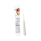 Chem x Chocolate | Pre-roll | 1g | Pot & Head