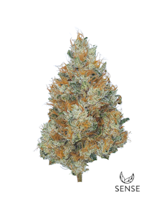 SENSE - Sour Durban - 3.5g (S) - Sense