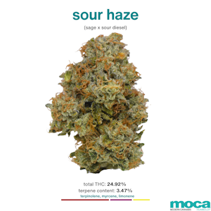 MOCA Flowers - MOCA Flowers - 1/8th Jar - Sour Haze