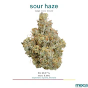 MOCA Flowers - 1/8th Jar - Sour Haze