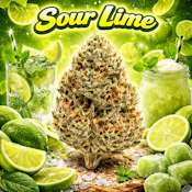 Sour Lime #3