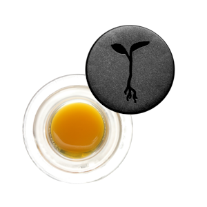 RAW GARDEN - Ze Chem (S) | 1g Live Resin Sauce | Raw Garden