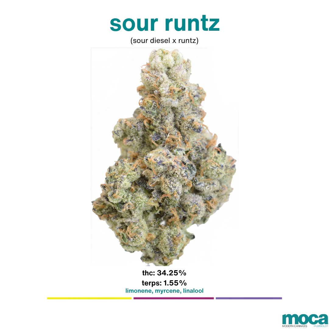 MOCA Flowers - MOCA Flowers - Smalls 1/4 Bag - Sour Runtz Main Image