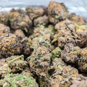 Bulk Flower | Grandma's | Orange Banana