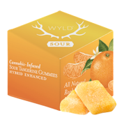 Sour Tangerine (H) | 10mg THC 10Pk Gummies | Wyld