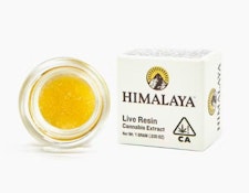 Himalaya 1g Sour Tangie Live Resin