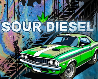 THE HEMPIRE COLLECTIVE - THC | Sour Diesel 