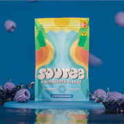 Gummies-EN | Souree | Blue Raspberry | 100mg | 10 ct