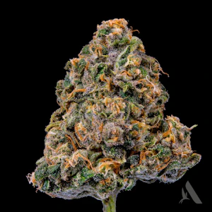 AFFINITY - Speakeasy Flower T23.14% S 00365