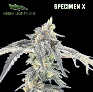 Green Lightning - Specimen X 3.5g