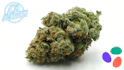 Product Preview Image 2