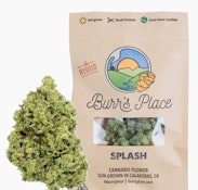 Burr's Place Splash 1/2 PD 29%