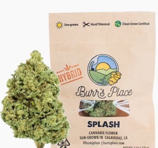 BURR'S PLACE - Burr's Place Splash 1/8 PD 30%