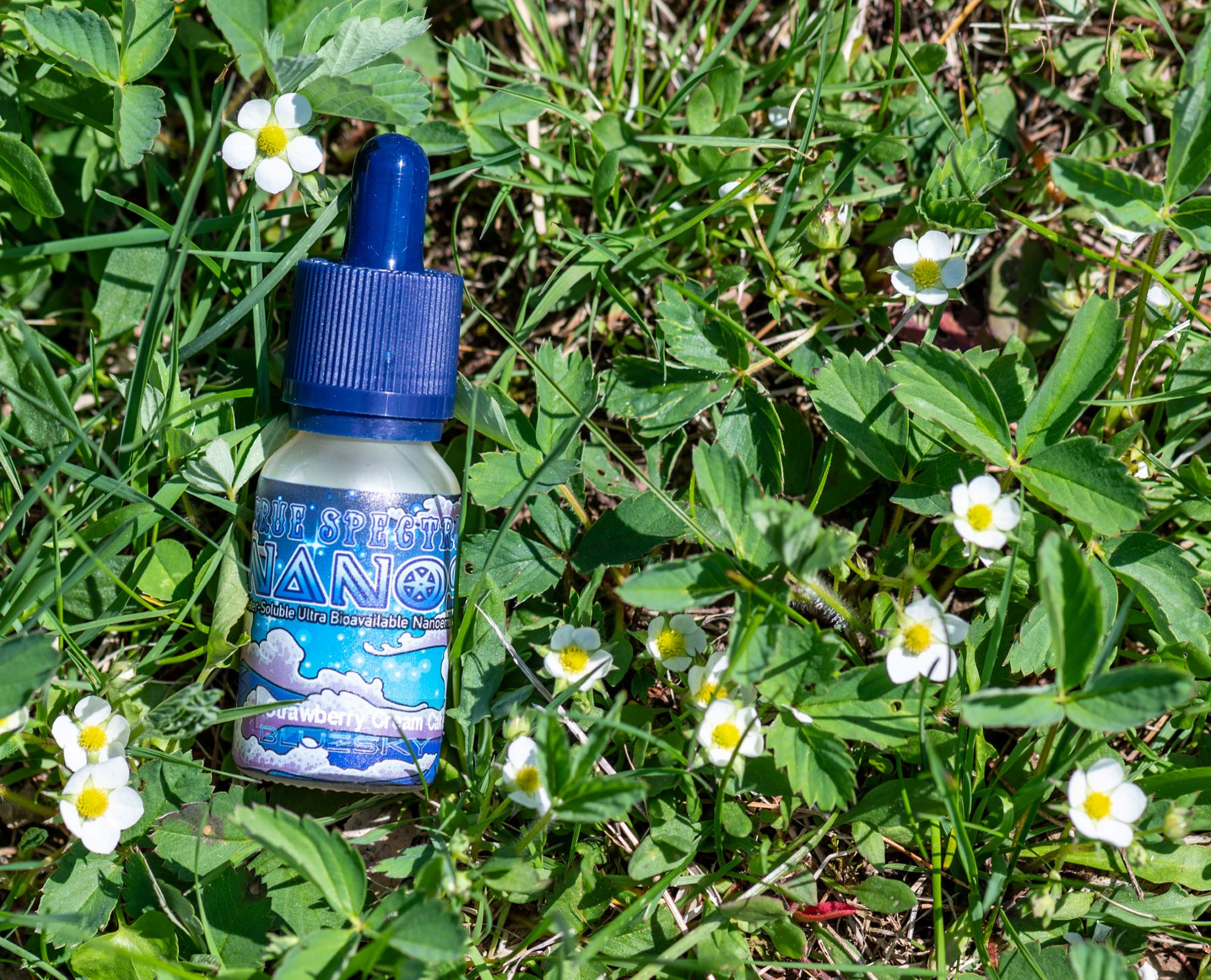 Blue Sky Lab LLC - Blue Sky Lab | Oreo Cake NANOS Tincture | 100mg Main Image
