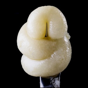 MOUNTAIN MAN MELTS - Mountain Man Melts - Live Rosin - Spritzer - Concentrates - 1.0g