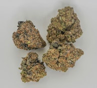 SQUAREGROUPER - ACAPULCO GOLD 3.5 GRAMS