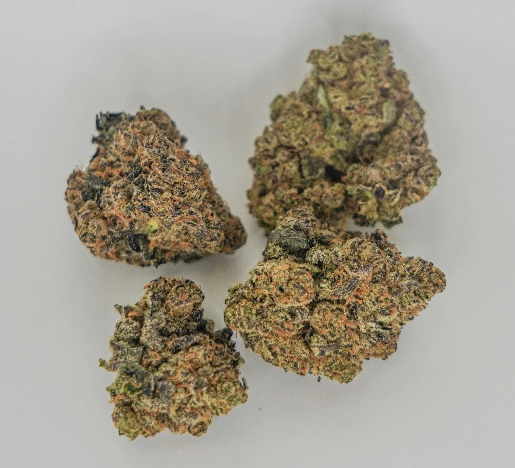 Square Grouper - SQUAREGROUPER - SUPER GLUE 3.5 GRAMS Main Image