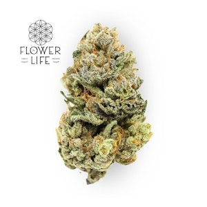 Flower of Life - Squirt Bulk Flower - FLOWER OF LIFE