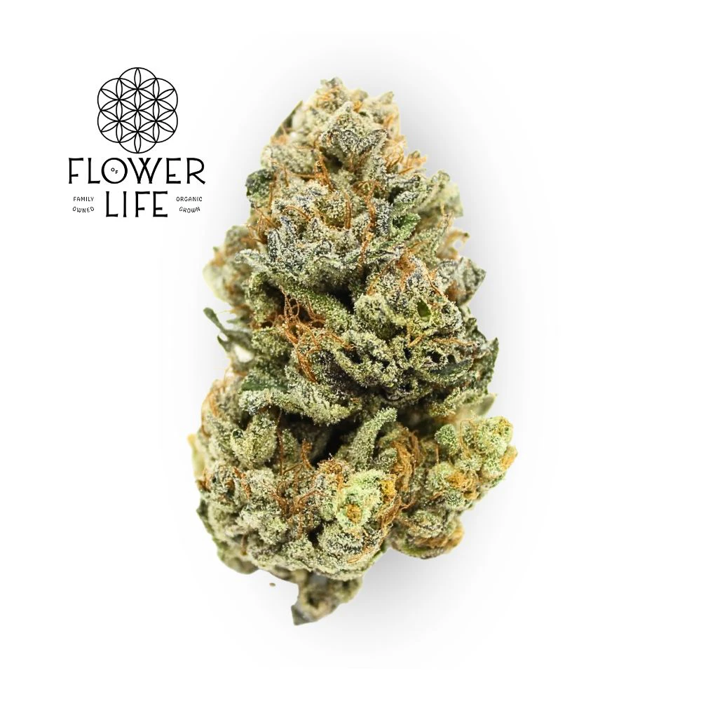 Flower of Life CBD - Squirt Bulk Flower - FLOWER OF LIFE Main Image