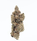 TVC | Stank Breath | Bulk Flower