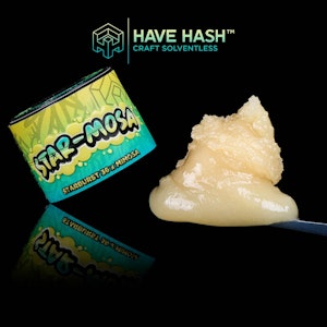 HAVE HASH - HAVE HASH - Cold Cure Rosin - Star-Mosa - T2 - Concentrates - 2.0g