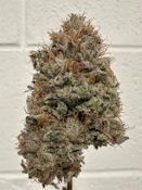 Star 69 aka *69 Half oz 14 G by Choof