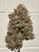Star 69 aka *69 Half oz 14 G by Choof