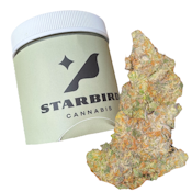 Apple Fritter - 14g - Trifecta Farms