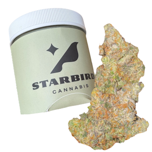 Trifecta Farms - Apple Fritter - 14g - Trifecta Farms