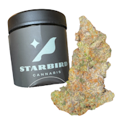 Apple Fritter - 28g - Trifecta Farms
