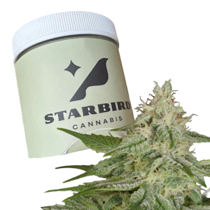 Kapnos - Hazy Pupil - 14g - Kapnos