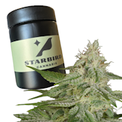 Hazy Pupil - 7g - Kapnos Cannabis