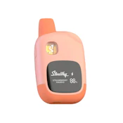 AIO - STRAWBERRY MANGO 1.25G - STEALTHY AIR