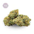 Product Preview Image 2