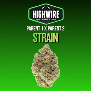 GG4 7.46g