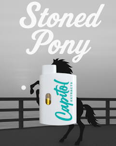 Capitol Extracts - Stoned Pony 1g AIO