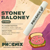 Stoney Baloney - 1g Infused Phoenix - Starbird