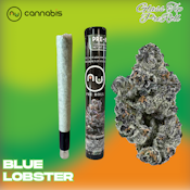 NuCannabis - Blue Lobster 1.2g GLASS TIP Pre-Roll - INDOOR PREMIUM FLOWER