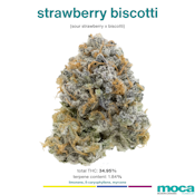 MOCA Flowers - 1G Smalls - Strawberry Biscotti