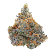 Strawberry Biscotti - 3.5g (I) - Sense