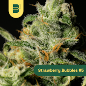 The Botanist | Flower | Strawberry Bubbles #5 | 3.5g