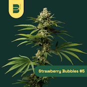 The Botanist | Smalls | Strawberry Bubbles #5 | 14g