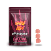 Strawberry 200mg Gummies (10x20mg) - JUNGLE JUICE