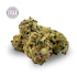 Product Preview Image 2