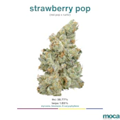 MOCA Flowers - 1/8th Mylar Bag - Strawberry Pop