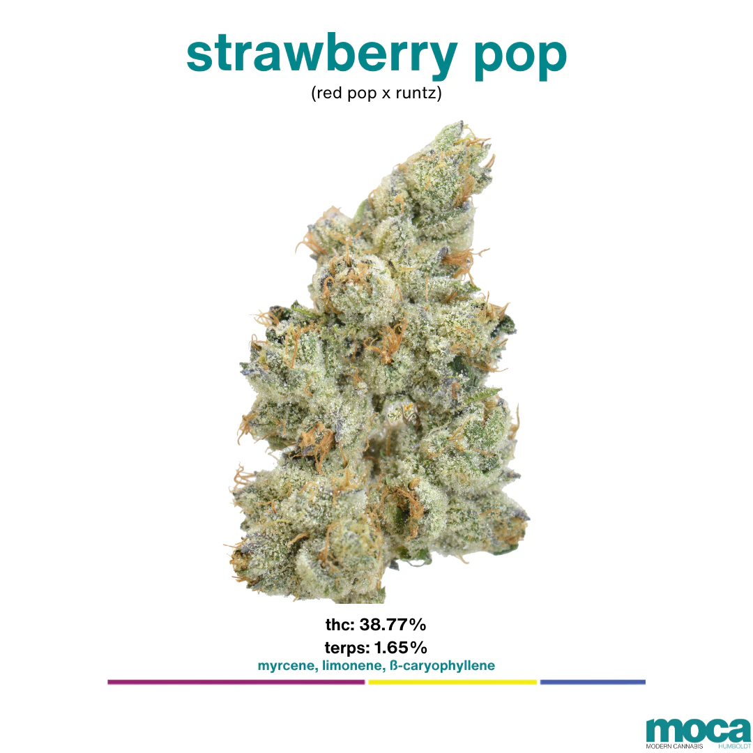 MOCA Flowers - MOCA Flowers - Smalls 1/4 Bag - Strawberry Pop Main Image